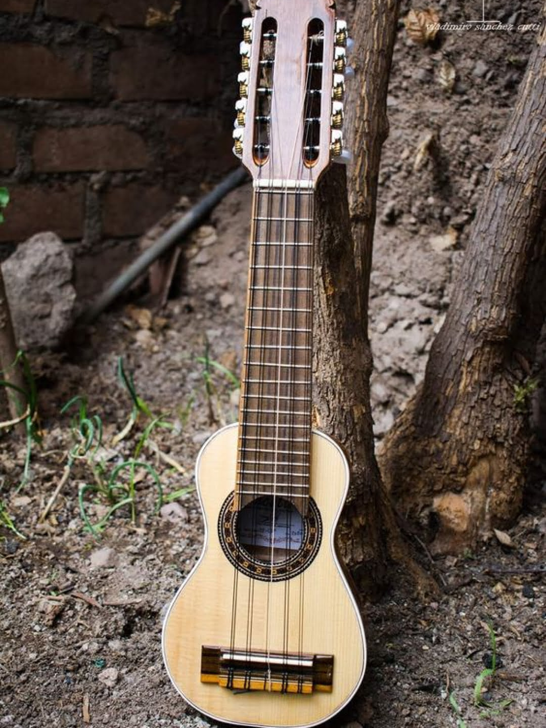 Cifras para Cavaquinho: Domine o Ritmo Brasileiro Em Americana